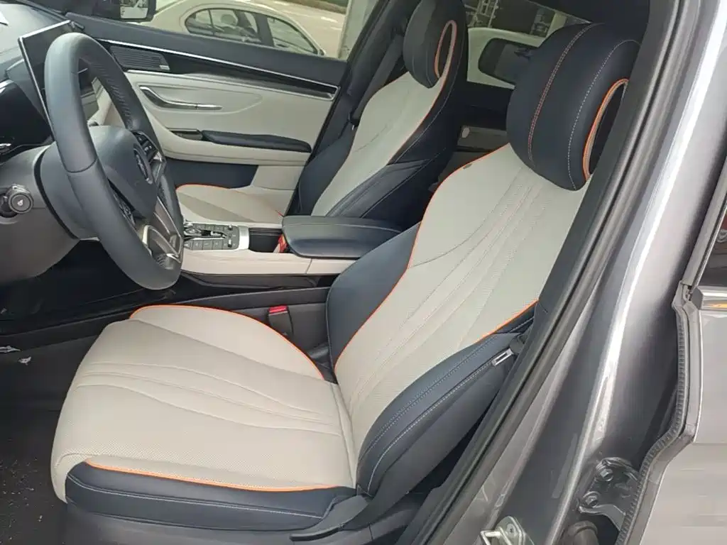 BYD Song PLUS New Energy 2022 — фото 15