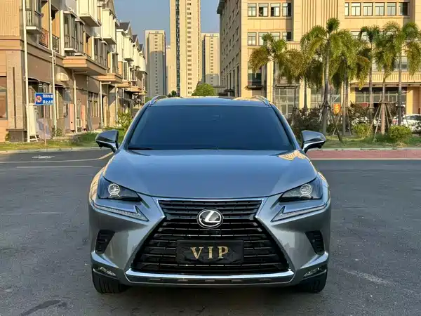 Lexus NX 2019