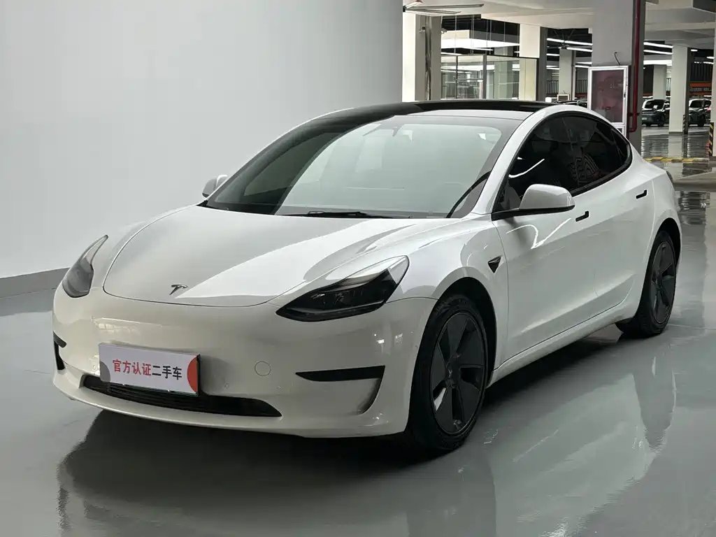 Tesla Model 3 2021 — фото 2