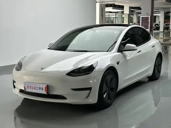 Tesla Model 3 2021