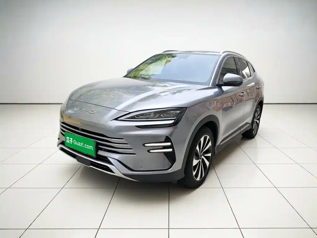 BYD Song PLUS New Energy 2024 — фото 2
