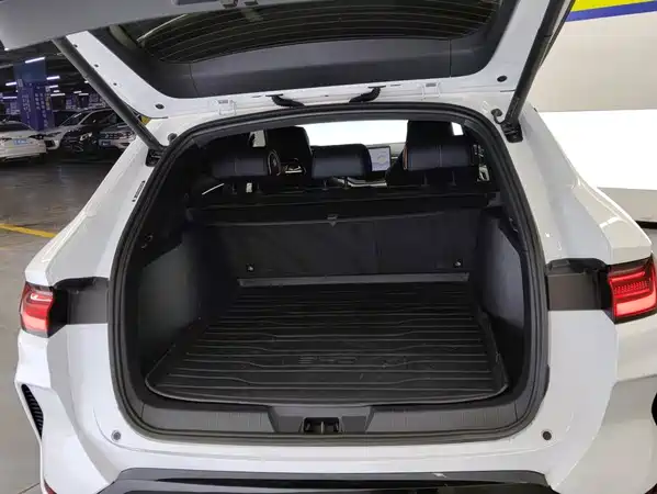 BYD Song PLUS New Energy 2024
