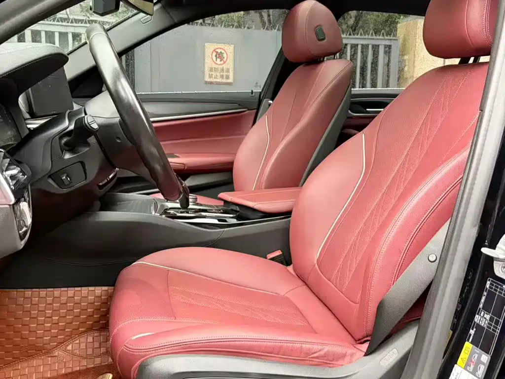 BMW 5 Series New Energy 2021