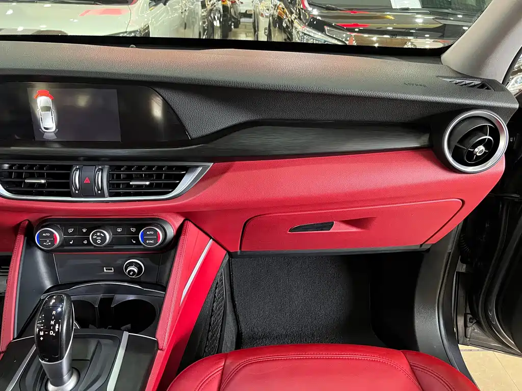Alfa Romeo Stelvio 2019 — фото 15