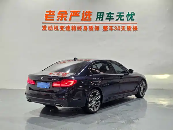 BMW 5 Series 2019