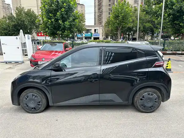 BYD Seagull 2024