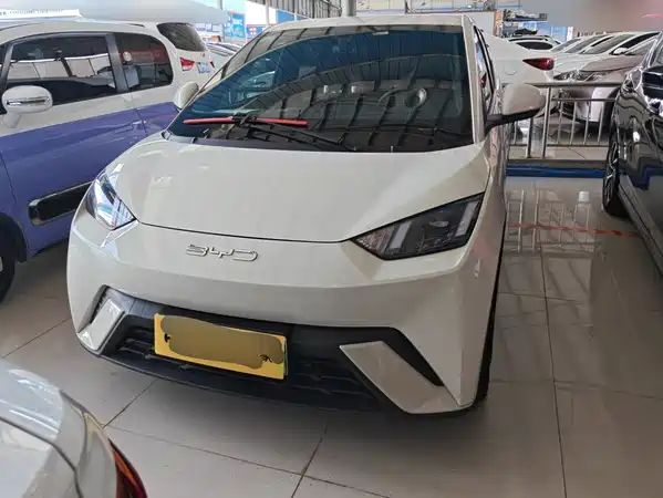 BYD Seagull 2024