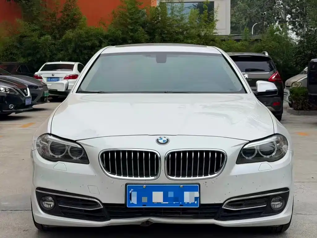 BMW 5 Series 2014 — фото 2