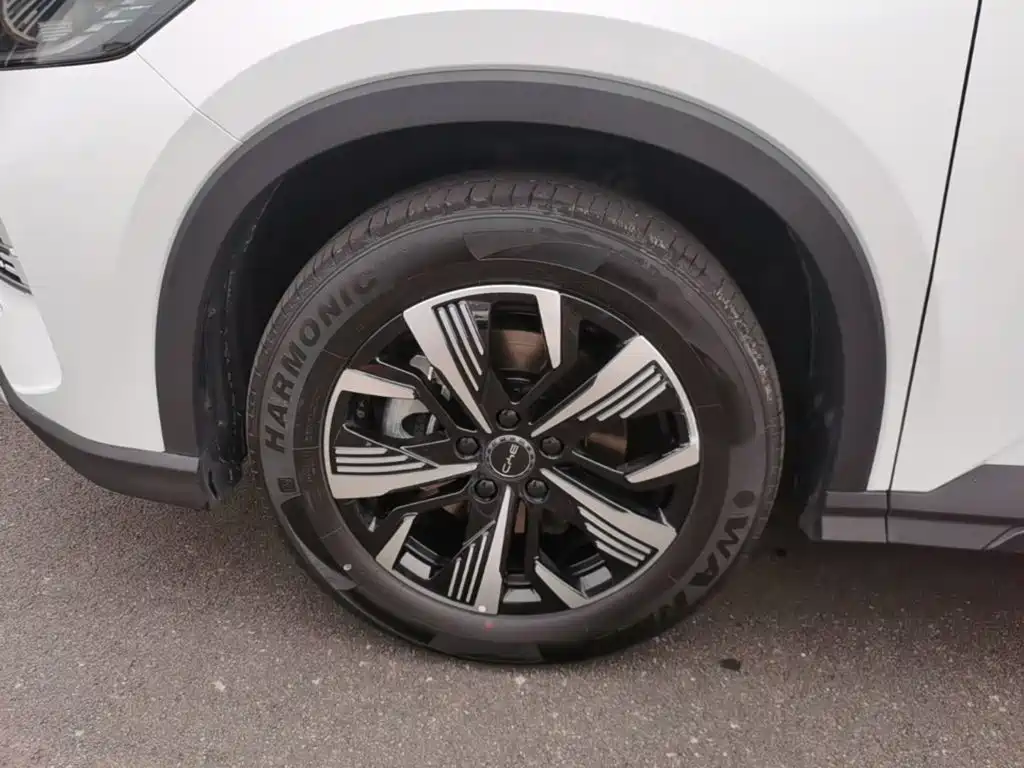 BYD Sealion 05 DM-i 2025 — фото 23