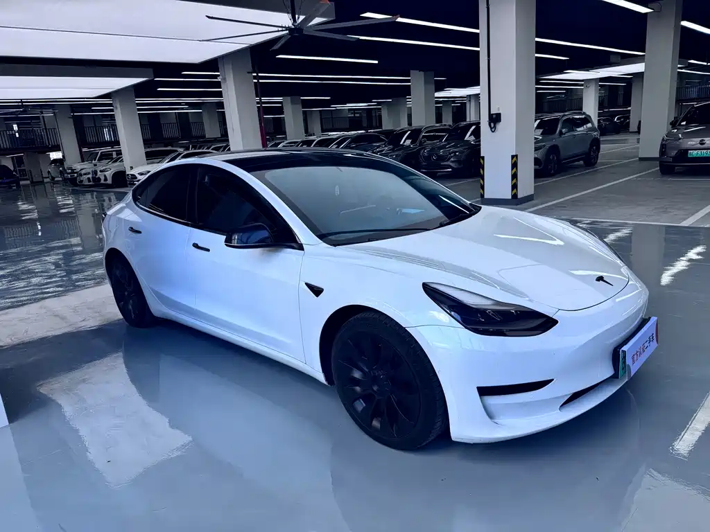Tesla Model 3 2021 — фото 3