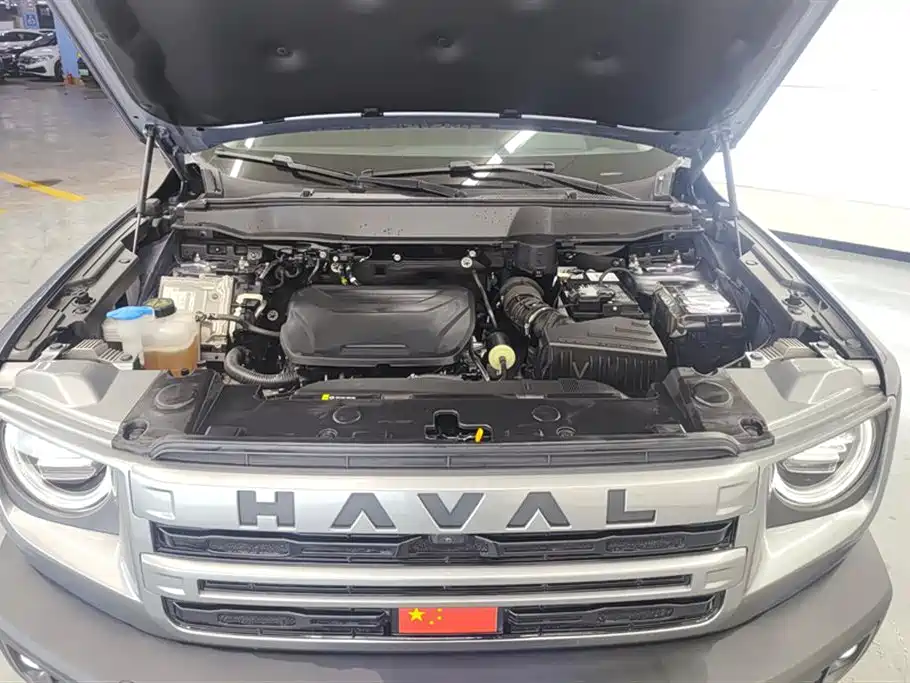 Haval Big Dog 2024 — фото 10
