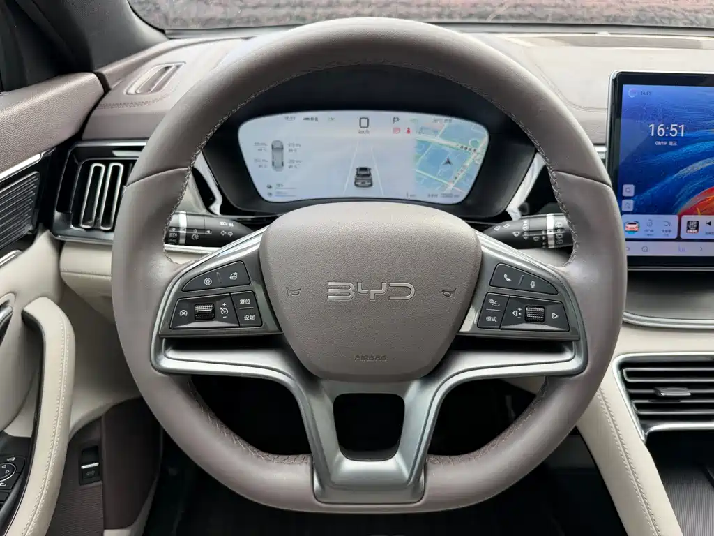 BYD Song PLUS New Energy 2024 — фото 8