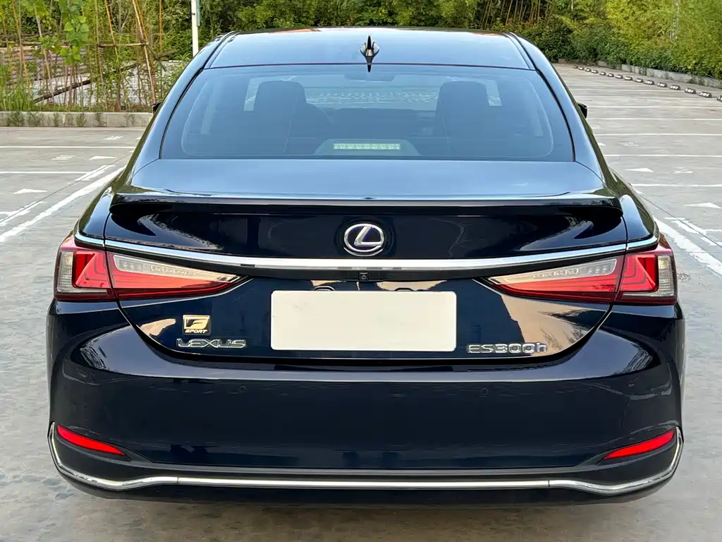 Lexus ES 2019 — фото 8