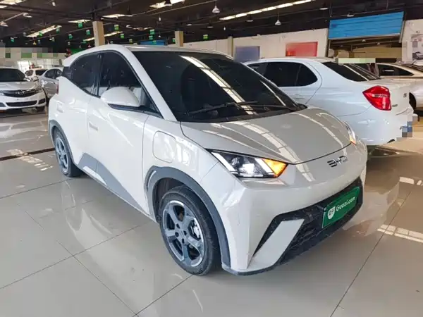 BYD Seagull 2024
