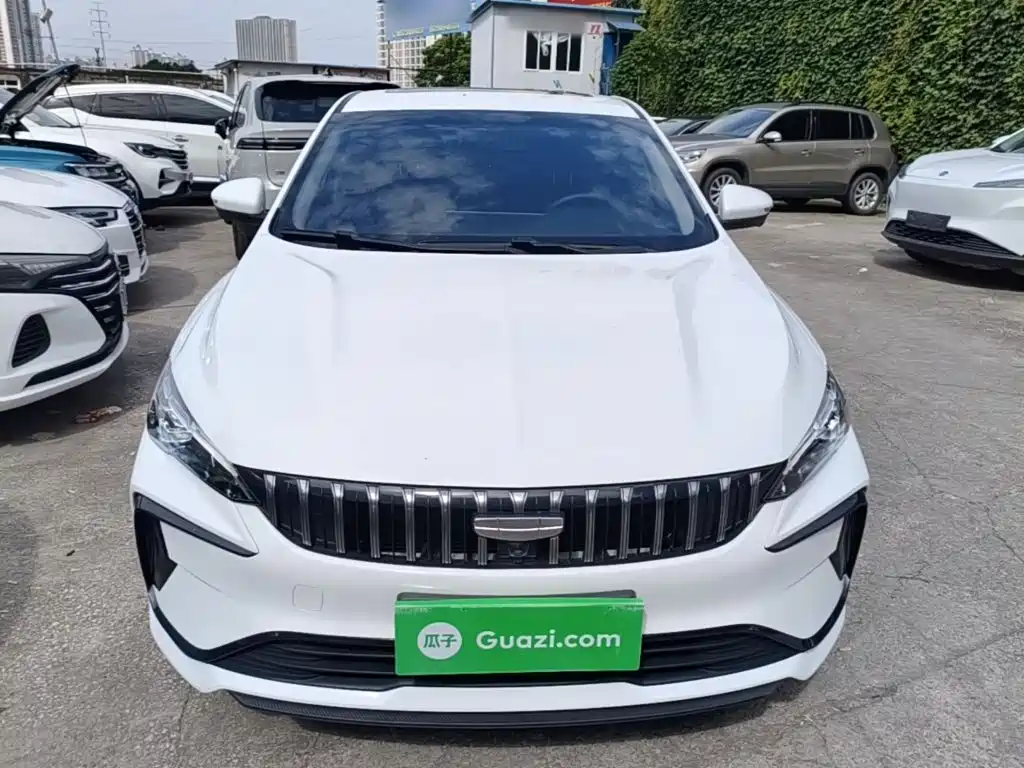 Geely Binrui 2024