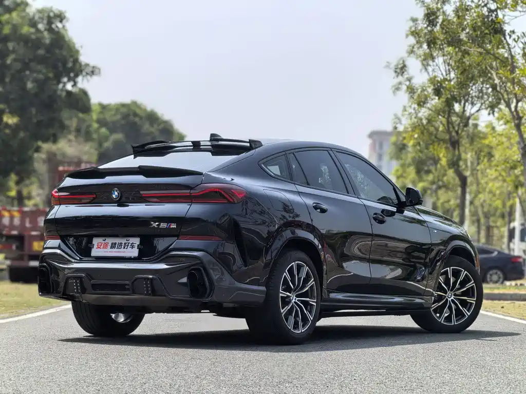 BMW X6 2022