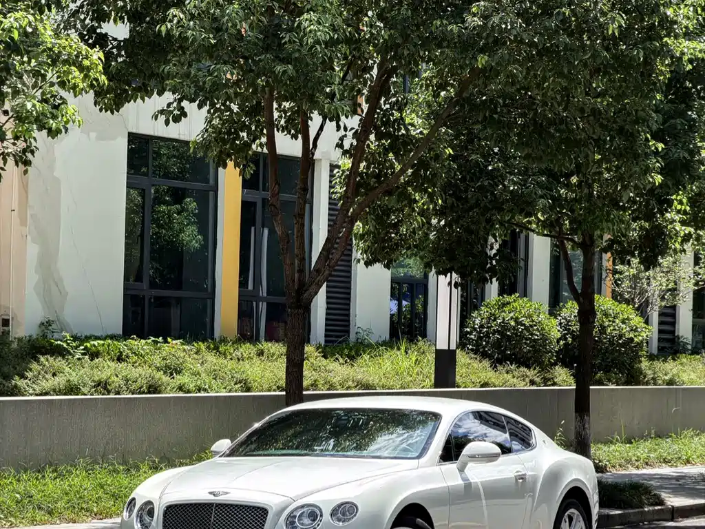 Bentley Continental 2015 — фото 14