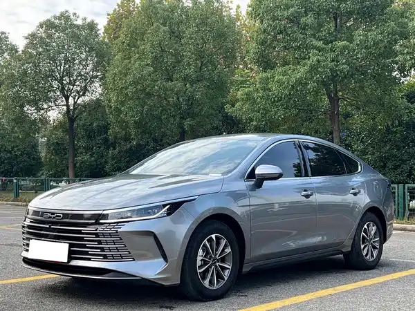 BYD Destroyer 05 2024