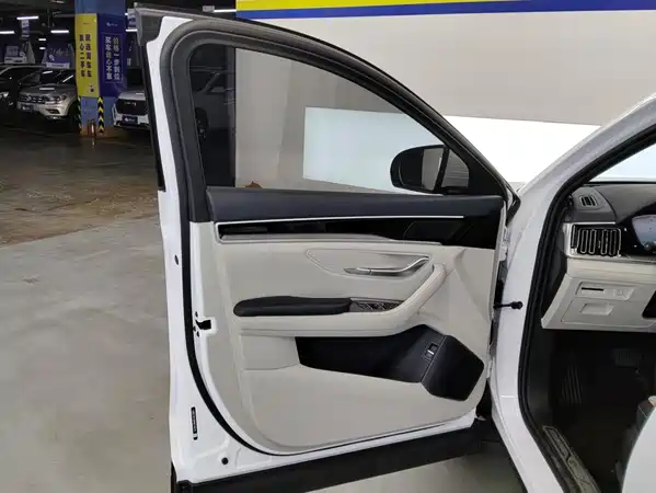 BYD Song PLUS New Energy 2024
