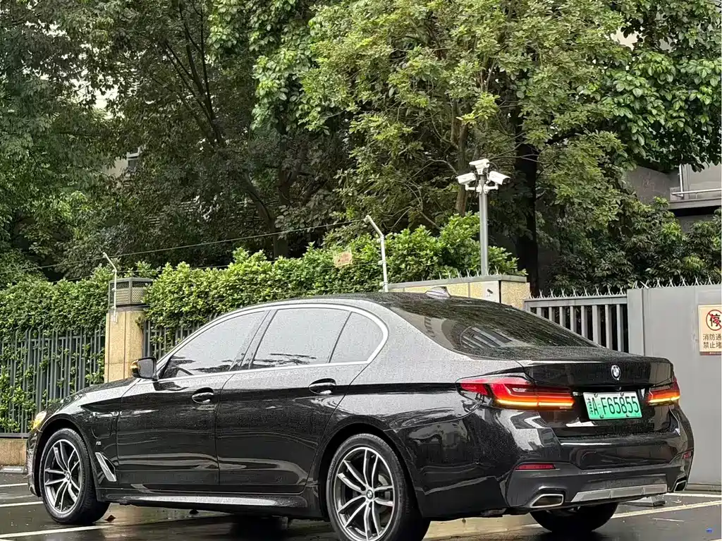 BMW 5 Series New Energy 2021