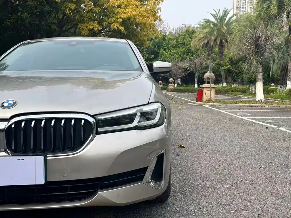 BMW 5 Series 2020 — фото 13