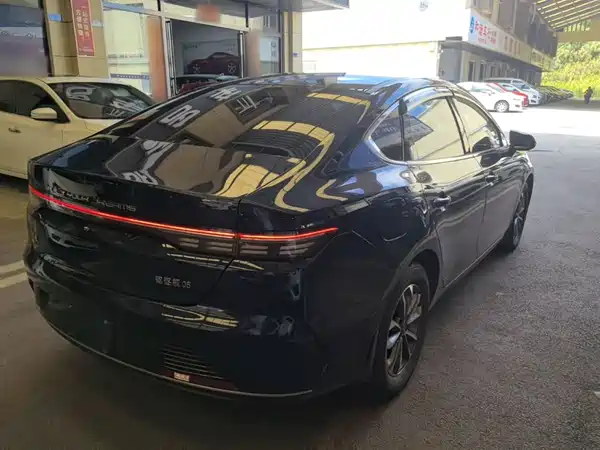 BYD Destroyer 05 2024