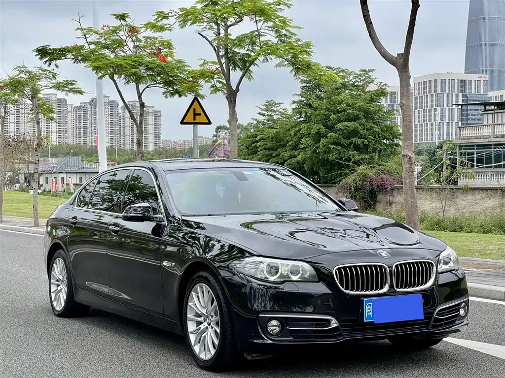 BMW 5 Series 2014 — фото 2