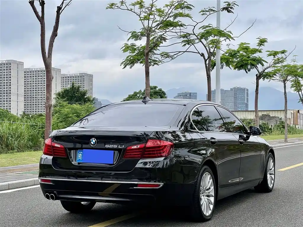 BMW 5 Series 2014 — фото 9
