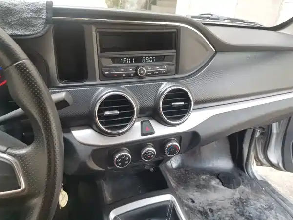 Dongfeng Ruiqi 2024