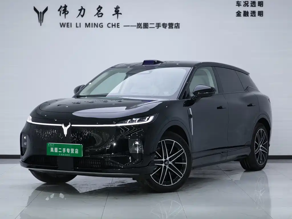 VOYAH Zhiyin 2025