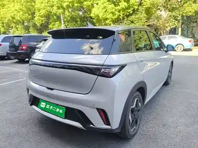 BYD Dolphin 2022