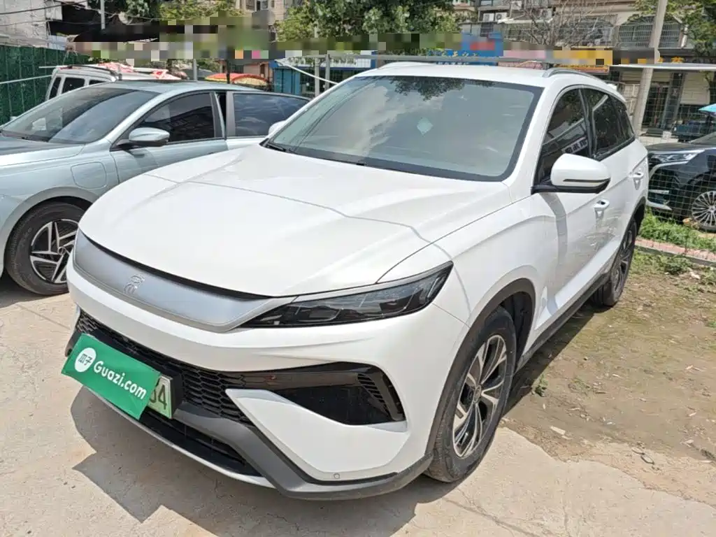 BYD Pro New Energy 2025