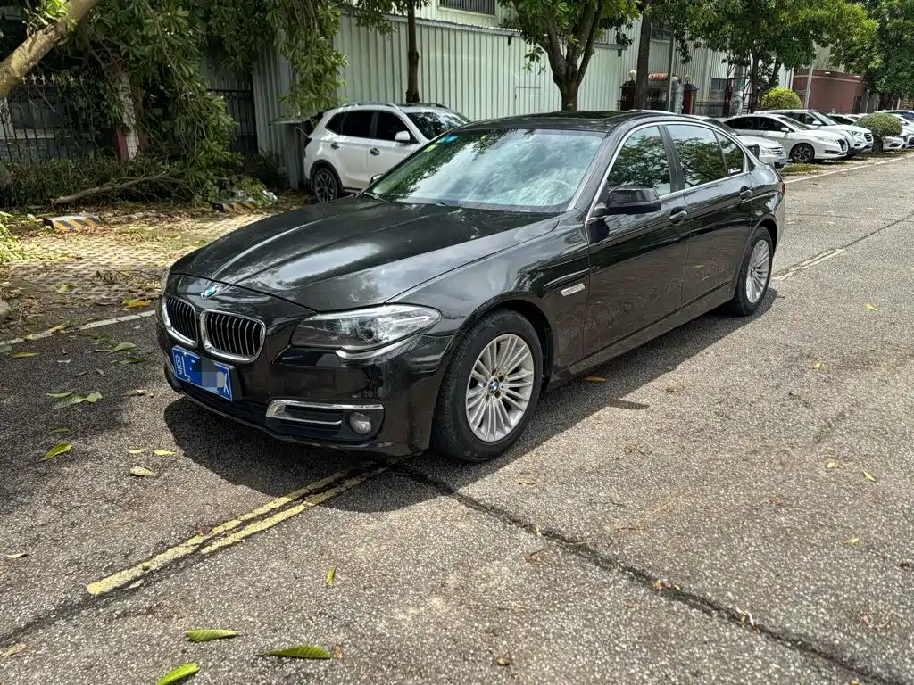 BMW 5 Series 2015