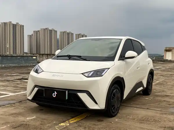 BYD Seagull 2024