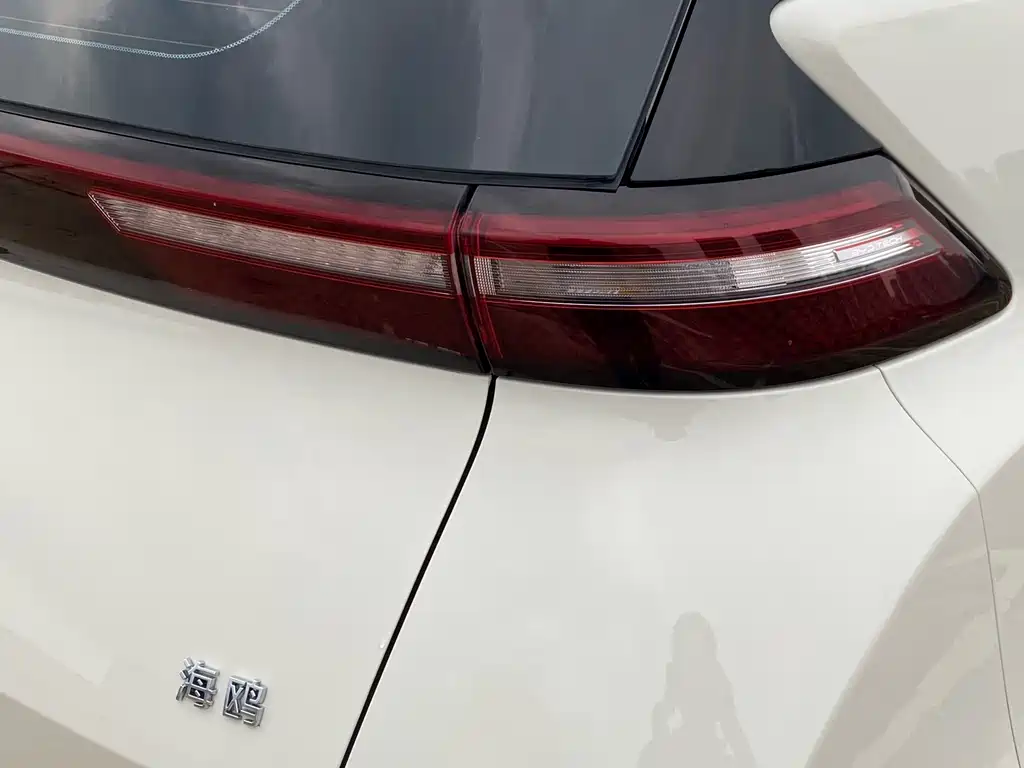 BYD Seagull 2024 — фото 19