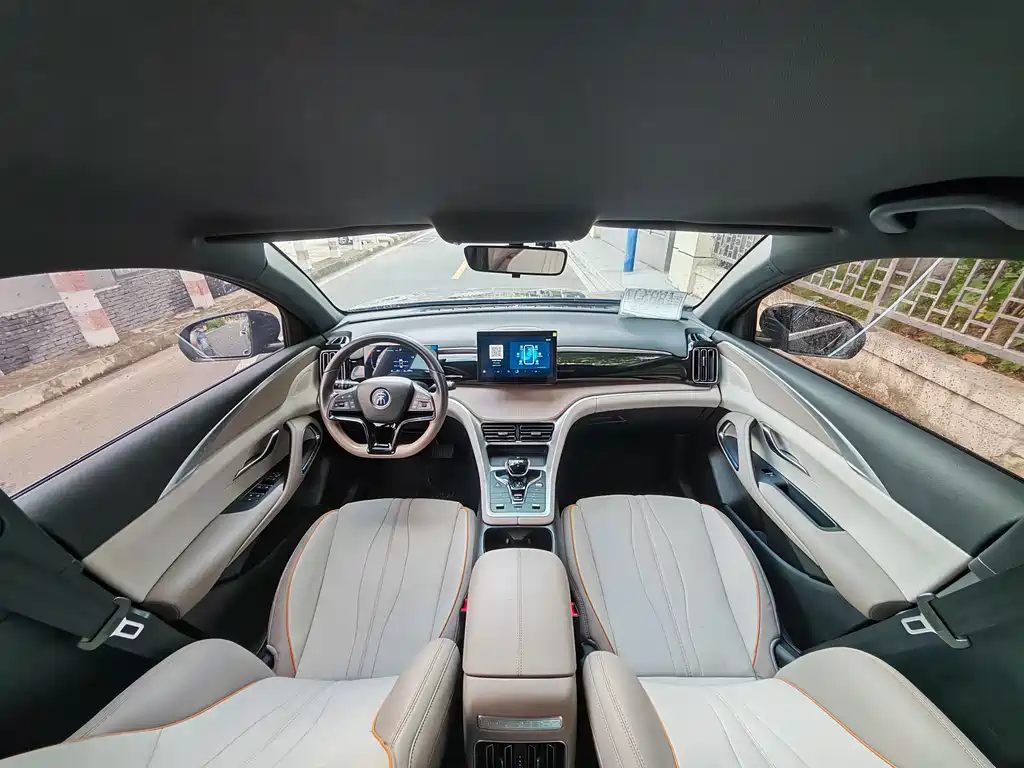 BYD Pro New Energy 2024 — фото 15