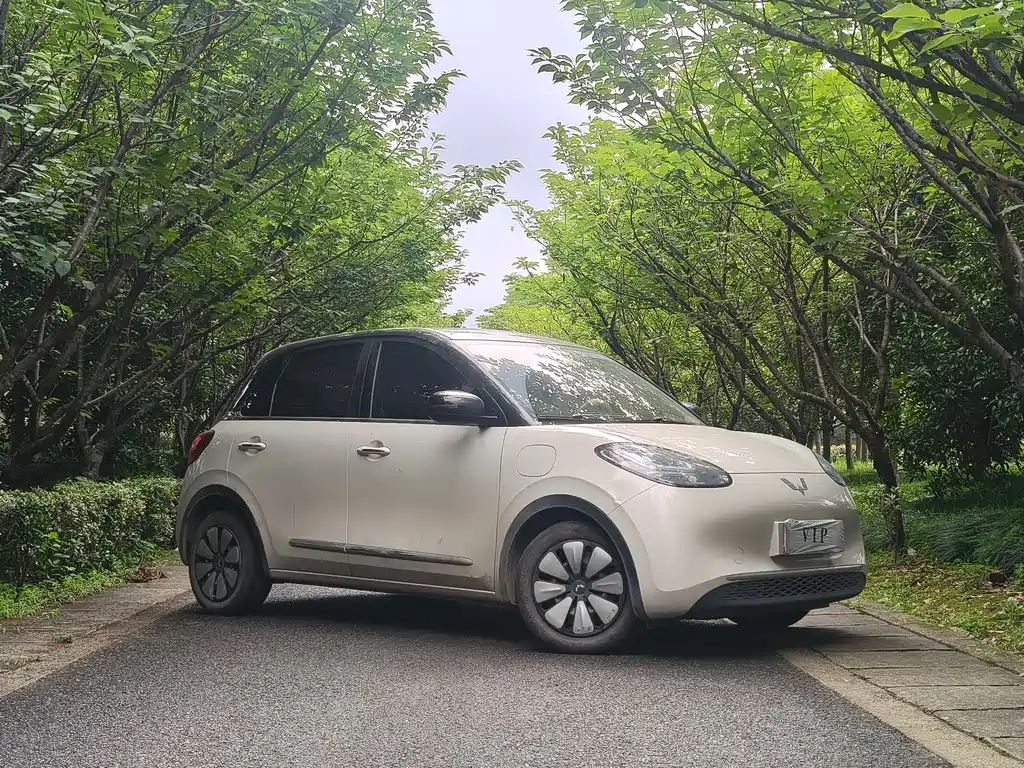 Wuling Bingo 2024