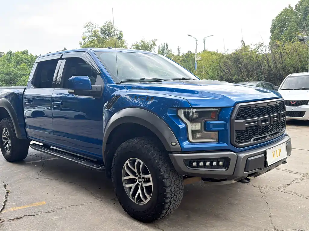 Ford F-150 Raptor 2017 — фото 19