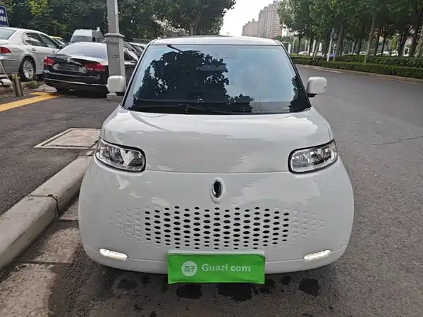 Ora White Cat 2021