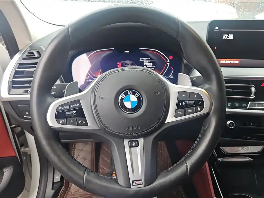 BMW X4 2022 — фото 15