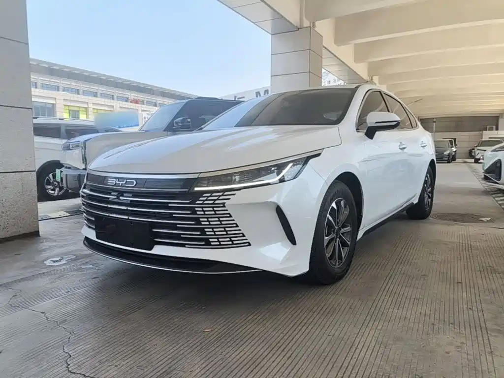 BYD Destroyer 05 2024 — фото 2