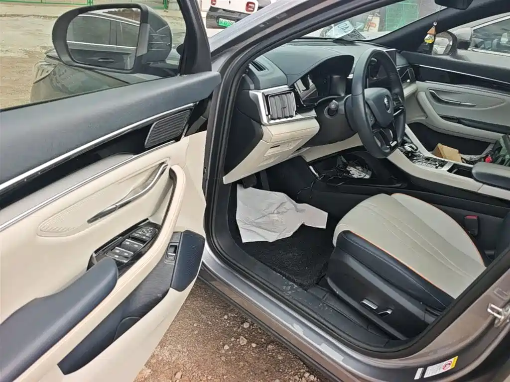 BYD PLUS New Energy 2022 — фото 16