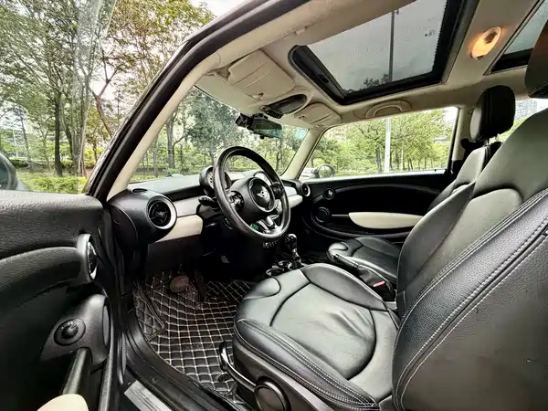 MINI 2011