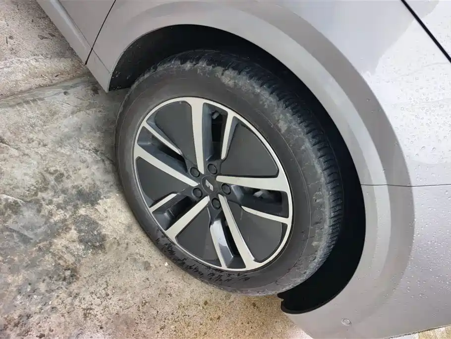 Li Auto Li L6 2024