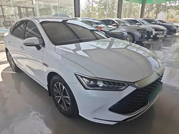 BYD Qin PLUS 2024