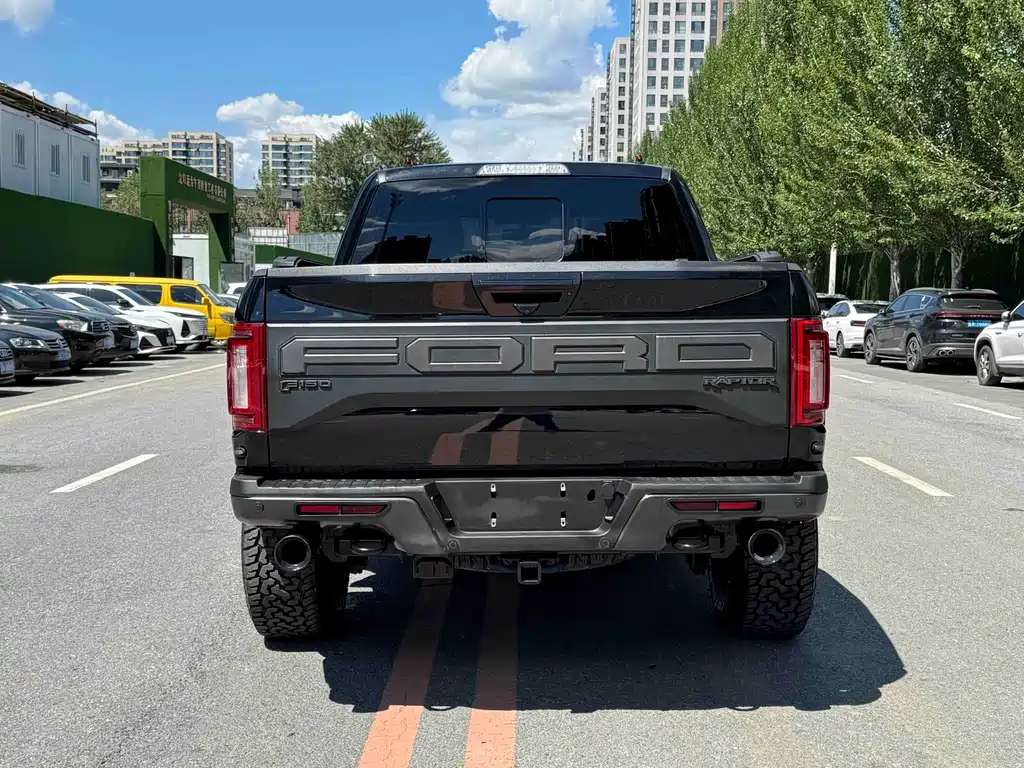 Ford F-150 Raptor 2019 — фото 18