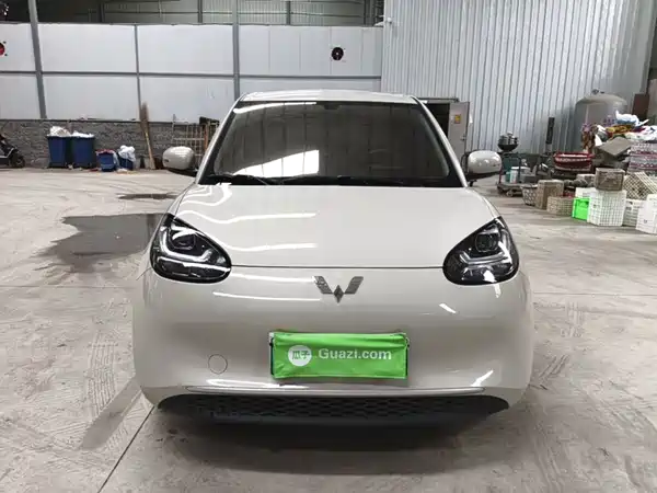 Wuling Bingo 2024
