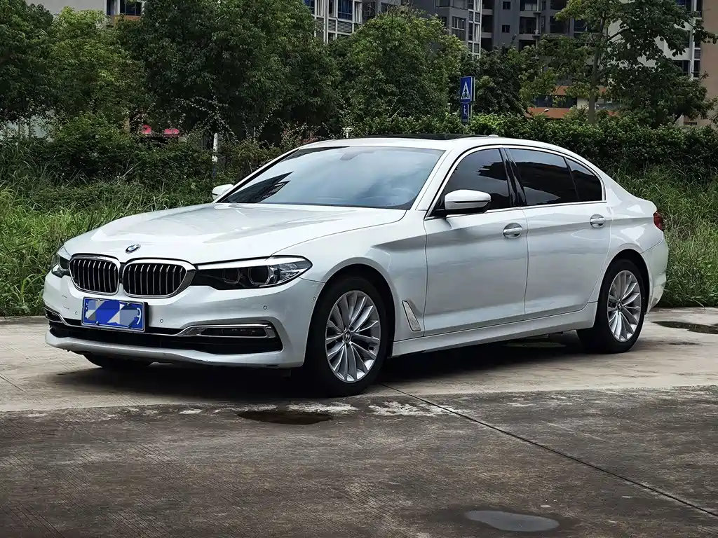 BMW 5 Series 2019