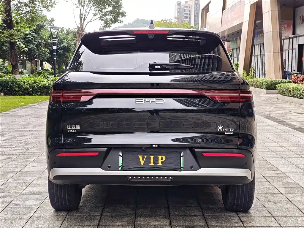 BYD Song Pro New Energy 2025 — фото 15