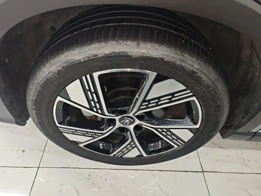 BYD Pro New Energy 2024 — фото 23